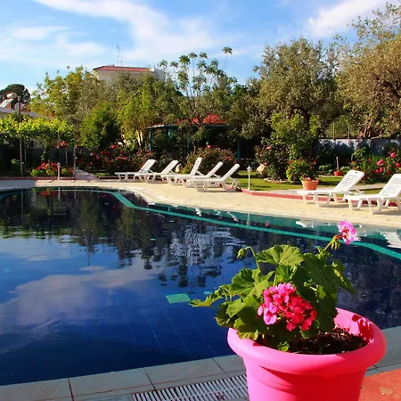 Hotel Dimitra Sun Archangelos
